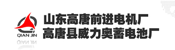 山东高唐前进电机厂